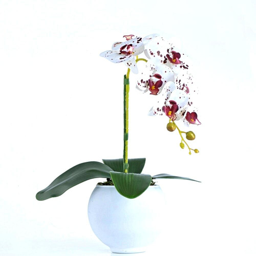 Arranjo De Orquídea Artificial Tigre Em Vaso Branco Fosco Po