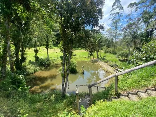 Sitio Com Casa E 30.000 M2 Com Escritura E Documentação Ok