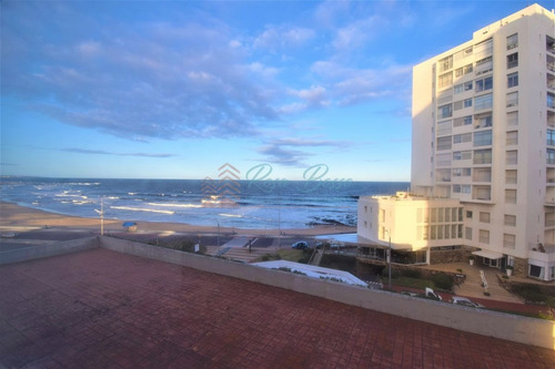 Imagen 1 de 6 de Apartamento En Peninsula, Monoambiente *
