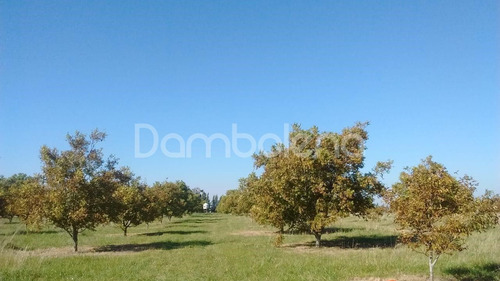 Imagen 10 de 25 de Terreno Campo En Venta Ubicado En Punta Indio, Resto De La Provincia