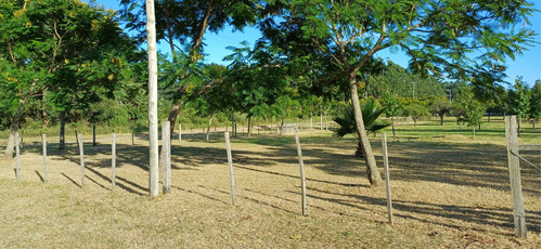 Excelentes Lotes O Terrenos  Parquizados Con Forestacion En Zona Residencial Turistica Ciudad De Federacion Entre Rios