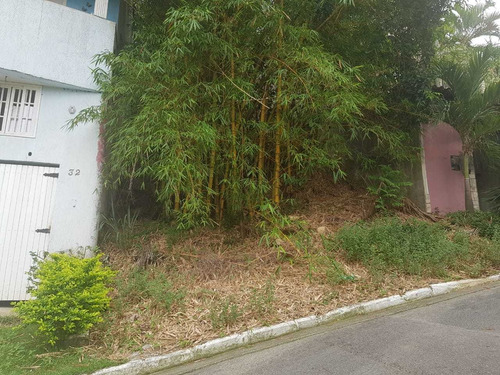 Imagem 7 de 12 de Terreno No Bairro Taquara Ci2192