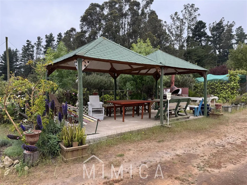 Vende Mimica Propiedades Algarrobo.