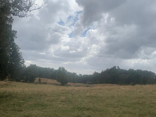 Campo En Ticahue - 57 Ha Ganadero