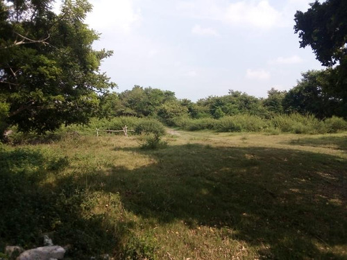 Venta Rancho Ganadero 100 Hectáreas Tamiahua Veracruz