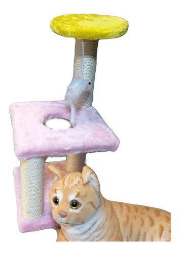 Rascador Torre De Juego  2 Niveles Para Gatos Pequeños