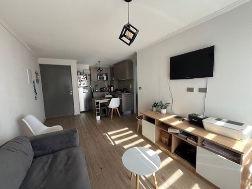 Dpto Arriendo Amoblado 2d Y 1b, Ñuñoa