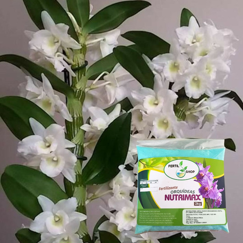 Adubo Fertilizante Nutrimax Npk 10 48 10 2kg