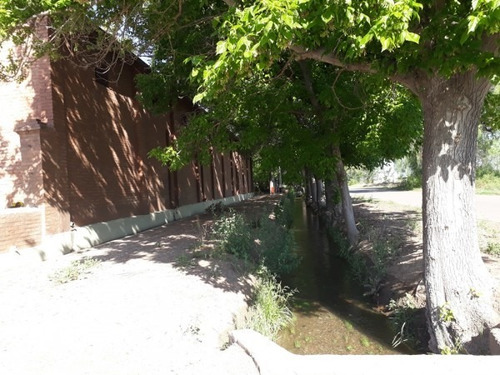 Vendo Bodega Con Viñedos Y Elaboración Propia