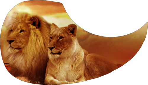 Escudo Palheteira Resinada Violão  Aço Lion Couple