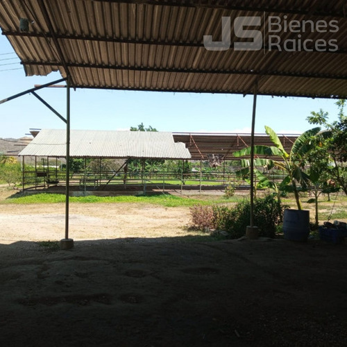 Venta De Parcela En San Francisco De Asis 14js
