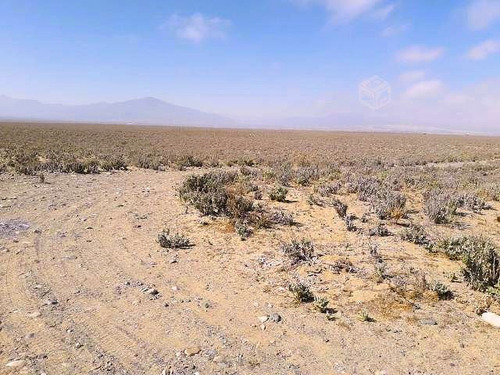 Parcela En Venta Punta De Choros, En La Comuna De La Higuera