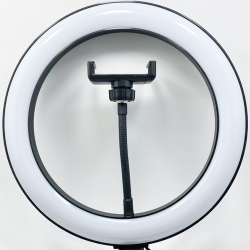 Ring Light Led Anel 10 Polegadas Com Tripé