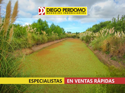 Chacra De 8 Ha En Venta. Montevideo