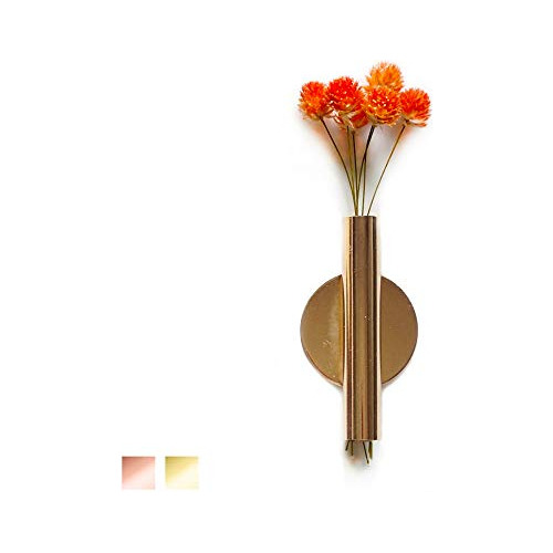 Tubo De Flor De Pared Para Exhibición De Flores Soporte De M