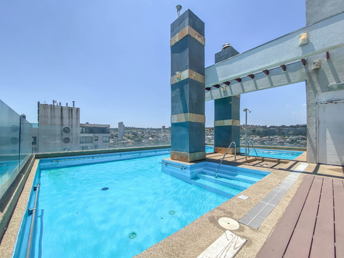 Vende Vive La Experiencia De Viña Del Mar A Pasos Del Mar