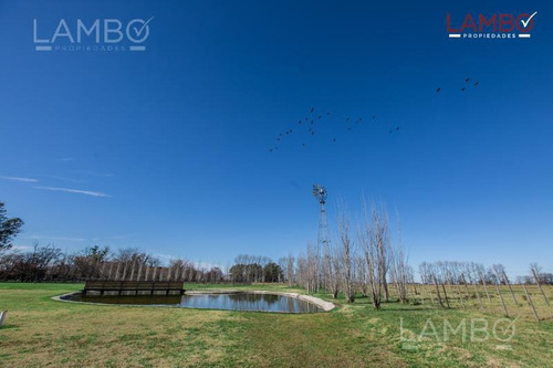 Imagen 12 de 30 de Venta - Chacras -carmen De Areco -la Alameda