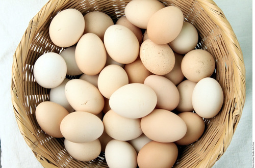 Paquete 20 Huëvos De Gallina De Patio Fertiles