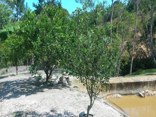 Chacara - Ch00015 - 33311828
