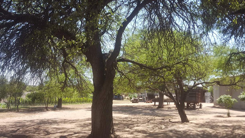 Campo En Venta Villa Quilino - Campo Ganadero Con 2 Casas