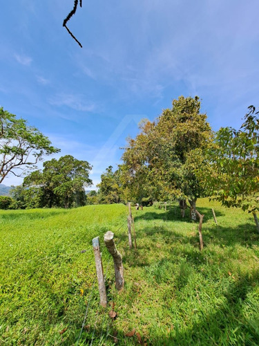 Finca La Azulita