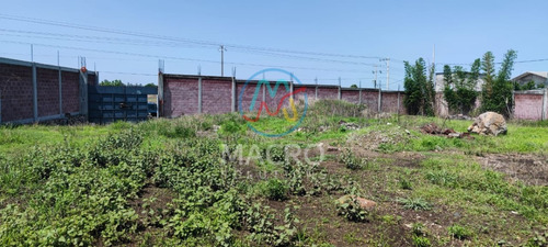 Terreno En Venta En Yecapixtla Con Conexión A Servicios Y Con Bardas Propias