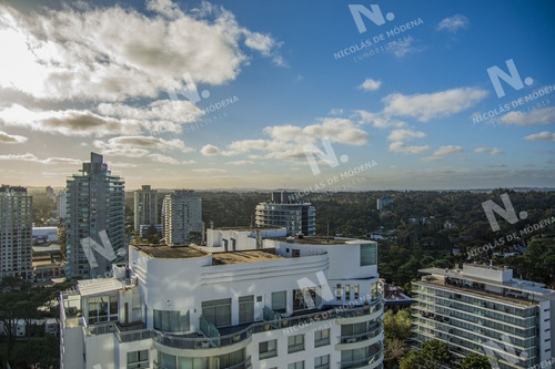 Imagen 16 de 30 de Penthouse En Venta Con Vista A La Mansa En Torre Ocean Drive Ii - Punta Del Este Roosevelt