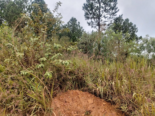 Imagem 5 de 15 de Lindo Terreno Ibiuna 1.250 Mts 500 Mts Da Represa Escritura