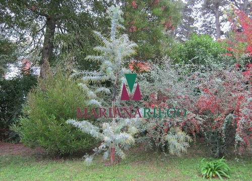 Imagen 15 de 16 de Casa Quinta En Barrio Los Pinos