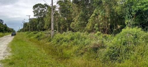 Imagem 5 de 5 de Lote No Marambá 2 Sendo Lado Serra Em Itanhaém