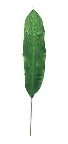 Hoja Heliconia Leaf Verde