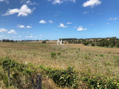 Campo En Venta De 10 Hectáreas.- Ref: 4003