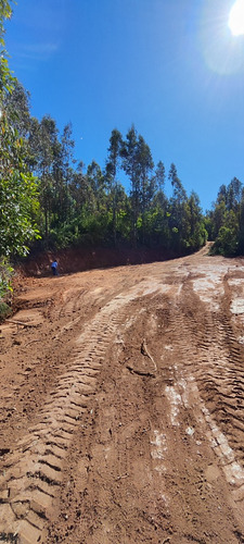 Parcela En Concepción A 5 Minutos Collao Después D Palomares