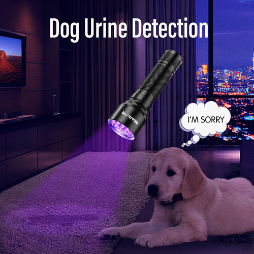 Linterna Led Luz Negra Mini Lámpara Uv 21 Ledes Detector De