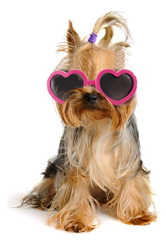 Gafas De Sol Para Perros De Raza Pequeña, Forma De Corazón