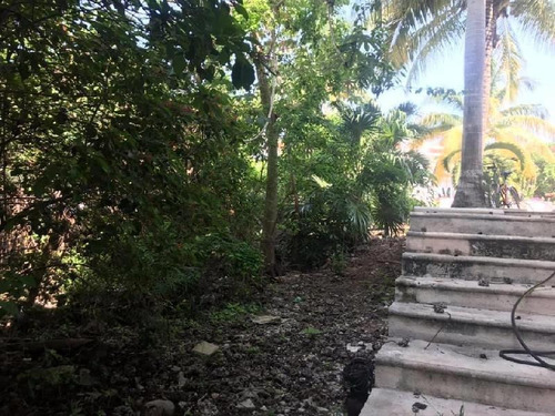 Imagen 3 de 7 de Terreno En Venta En Playa Del Carmen