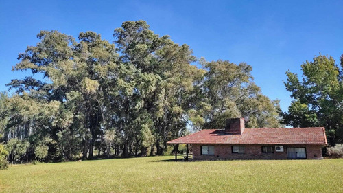 Imagen 17 de 30 de Gran Lote De 7,2ha En Venta Con Casas Quintas En Loma Verde,