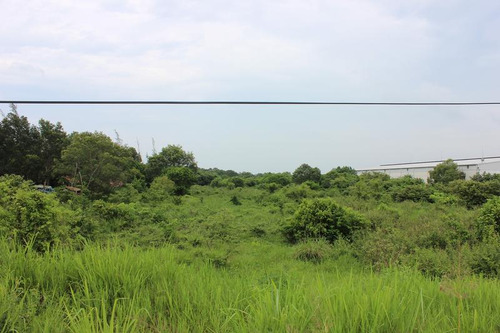 Venta Terreno Tuxpan Ver, Carretera Tuxpan-tamiahua 5 Has