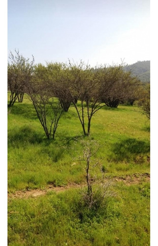 Se Vende Parcela Limache Los Laureles