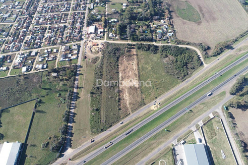 Imagen 6 de 11 de Terreno Fraccion En Alquiler Sobre Colectora Ruta Nacional 9 - Zárate, G.b.a. Zona Norte