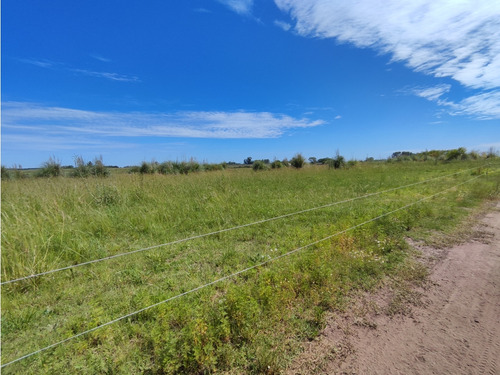 29,4 Hectareas En Cucullu San Andres De Giles