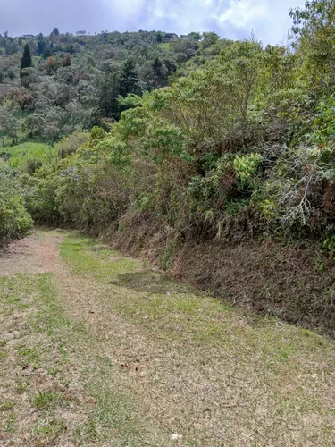 Se Vende Lote En Vereda La Frisola A 2 Km De La Salida Del Tunel Lado Occidente