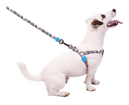 Coleira Peitoral Para Cachorro Pet Snoopy Zigzag Pp