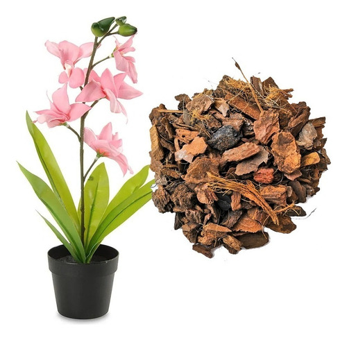 Sustrato Orquídeas Orgánico10l Con Corteza De Coco Y Regalo