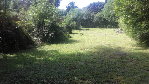 Venta Lote 10 X 56,5 La Lonja Pilar