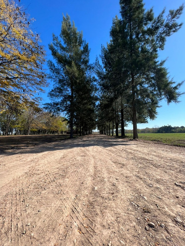 Lotes - Terreno En Venta - Barrio Abierto - Las Merceditas
