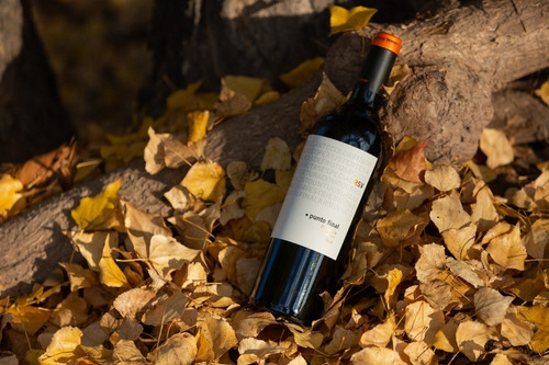 Vino Punto Final Reserva Malbec X 6 + Cuchillo