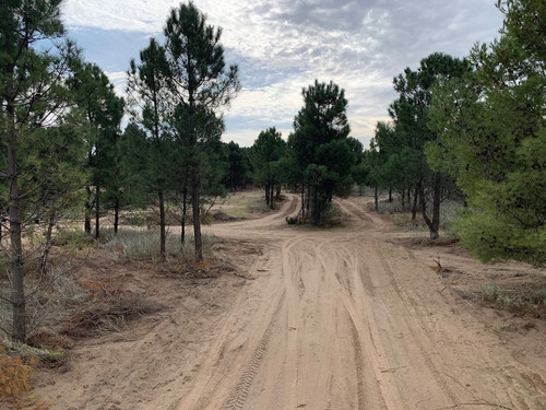 Lotes En Venta Reserva Darwin!! Balneario Pehuen Co
