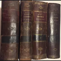 Comprar Tratado De Anatomía Humana Testut 1923 Salvat 4 Tomos