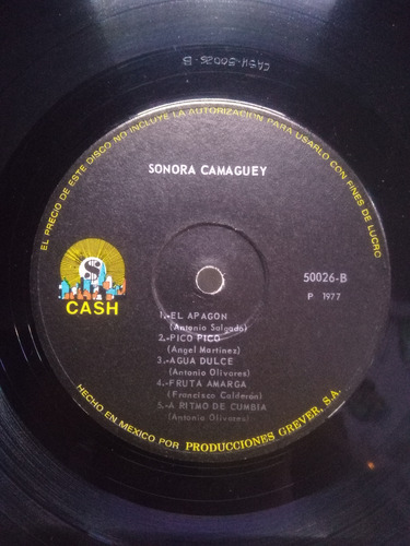 Lp Sonora Camaguey Y Su Cantante Pablo Flores B. Cumbia 1977 (Usado)